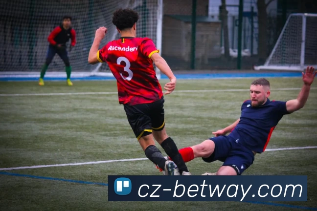 必威BETWAY官网平台生态图